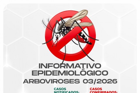 Informação epidemiológica Ubá 03/26