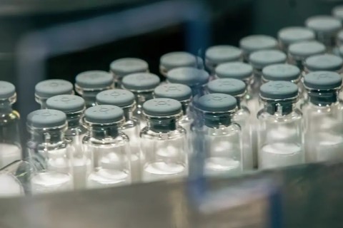 Anvisa pode aprovar vacina do Butantan contra a dengue neste mês