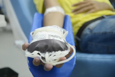 Portaria libera doação de sangue de pessoas com mais de 70 anos