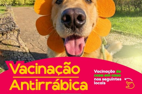 Prefeitura realiza terceira etapa da vacinação antirrábica na zona rural neste sábado (08/08)