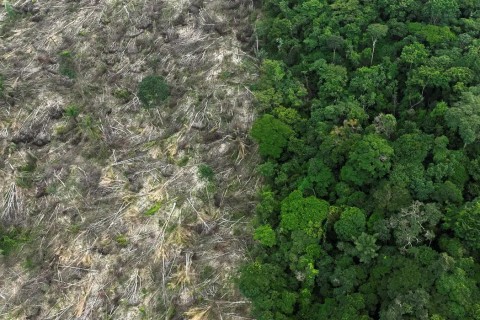Brasil perdeu 111,7 milhões de hectares de áreas naturais em 40 anos