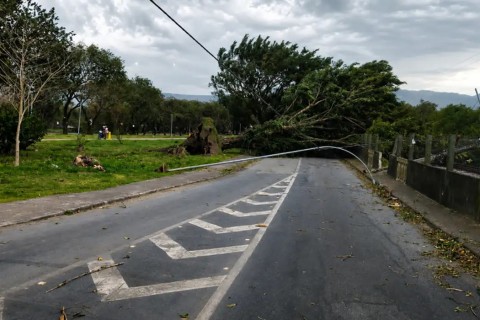 Sobe para três o número de mortes em SP devido à ventania