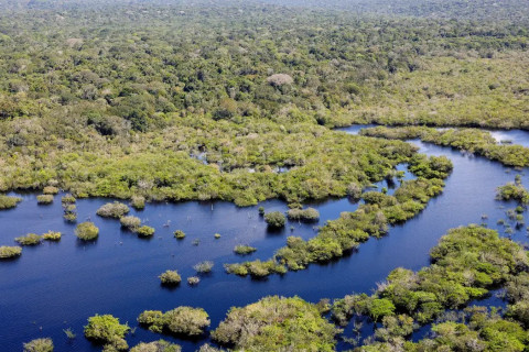 Quase todos os biomas registraram redução do desmatamento em 2024