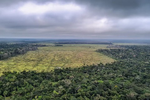 Sociedade civil vê retrocesso grave em queda de vetos de PL Ambiental