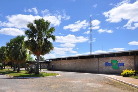 Aplicativo gratuito da Embrapa ajuda a planejar barragens no semiárido