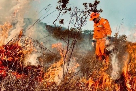 Bombeiros intensificam treinamentos para mais de 300 agentes para o período crítico de incêndios em vegetação em Minas Gerais