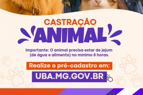 Prefeitura de Ubá abre pré-cadastro para castração gratuita de cães e gatos