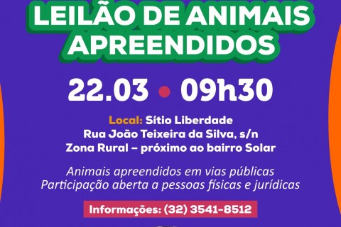 Prefeitura realiza leilão de animais apreendidos em via pública neste domingo (22)