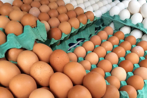 Ovos de granja com caso de gripe aviária estão rastreados, diz Mapa