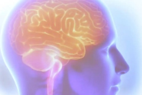 Projeto Ártemis avalia genética de pacientes que sofreram AVC